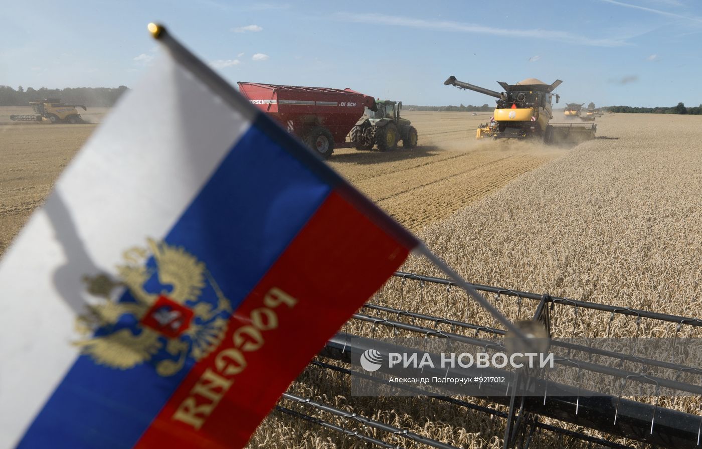 Уборка пшеницы в Калининградской области