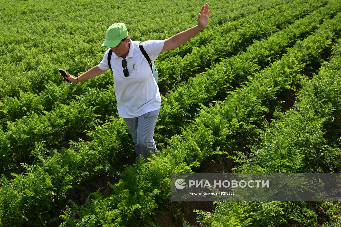 Агропромышленная выставка "День поля Московской области"