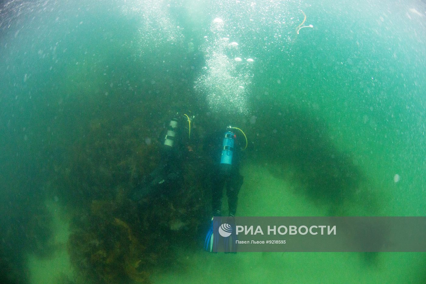 Дайвинг в Мурманской области