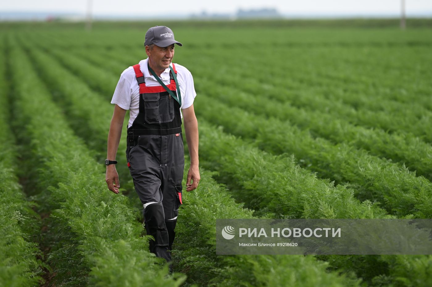 Агропромышленная выставка "День поля Московской области"