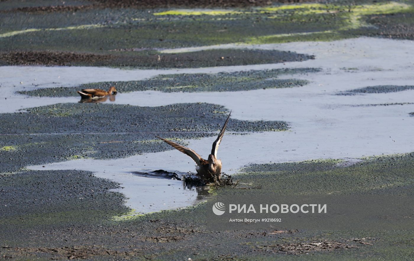 Обмеление рек в Белгороде