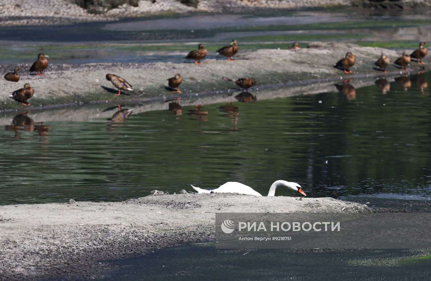 Обмеление рек в Белгороде