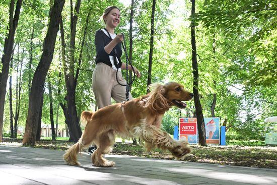 Фестиваль "Беги за другом" в Москве
