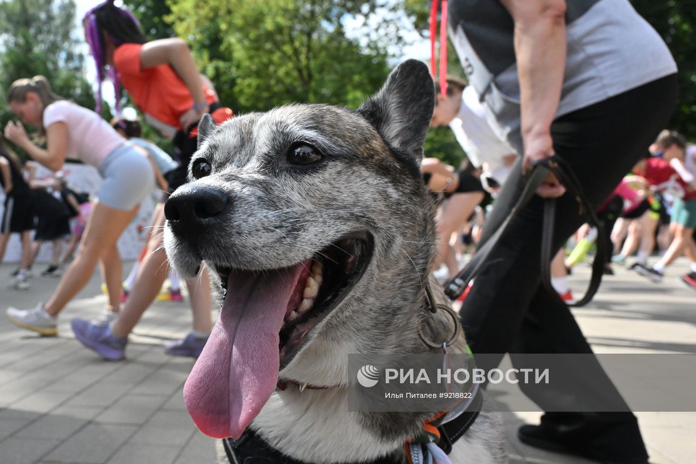 Фестиваль "Беги за другом" в Москве