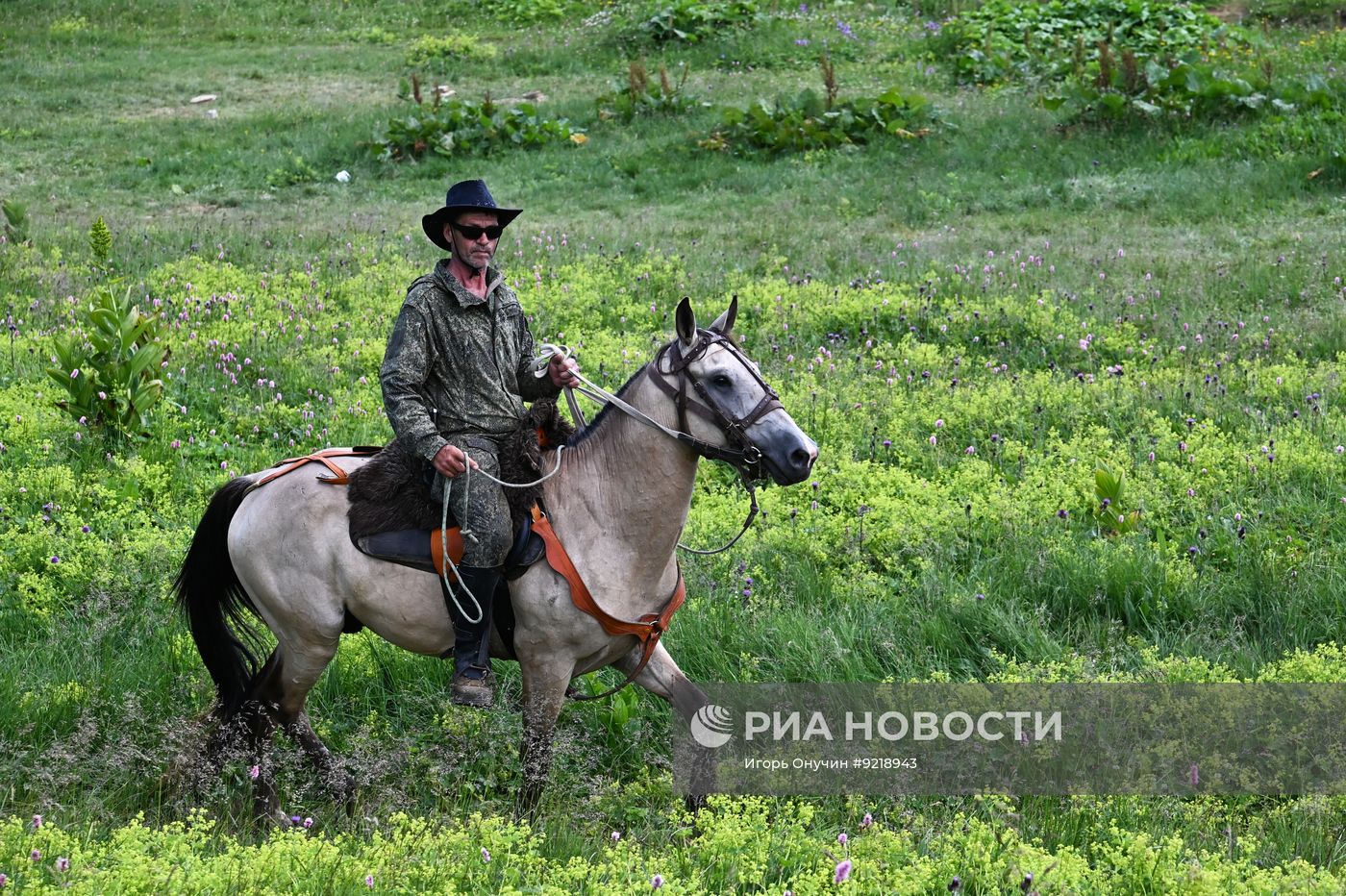 Кавказский заповедник в Краснодарском крае
