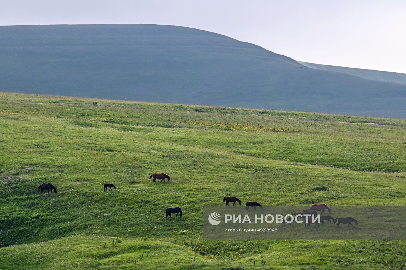 Кавказский заповедник в Краснодарском крае
