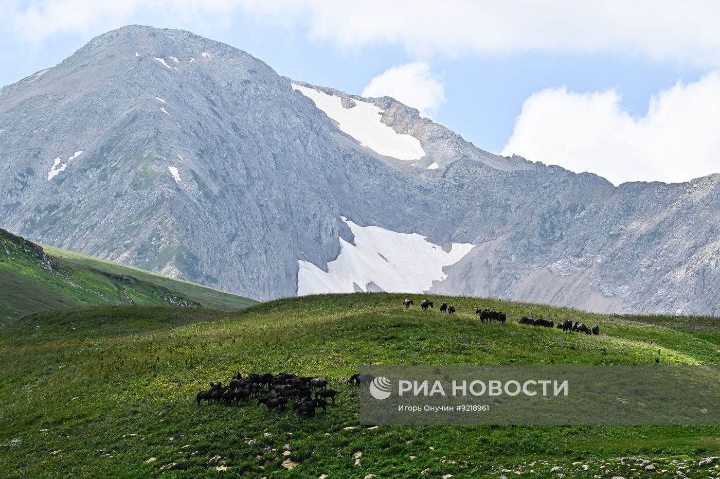 Кавказский заповедник в Краснодарском крае