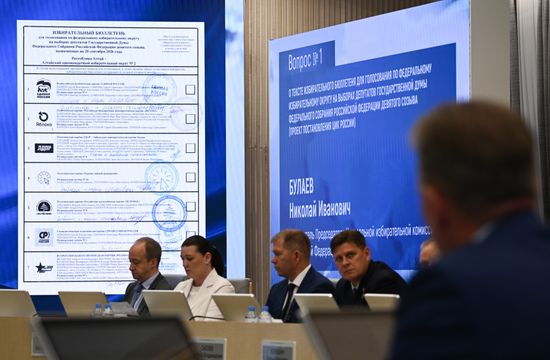 Заседание ЦИК РФ