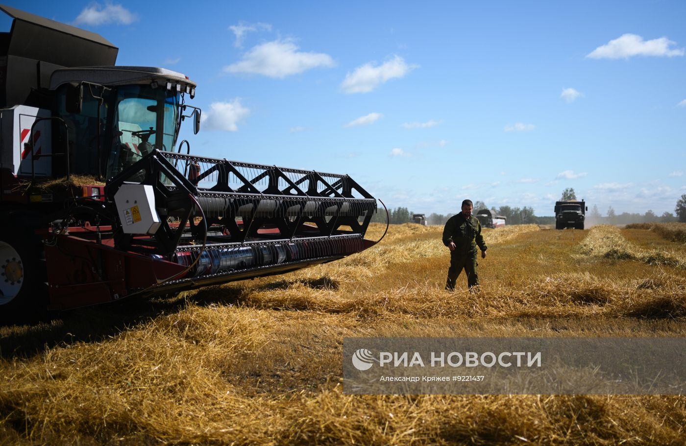 Сбор урожая зерновых в Новосибирской области