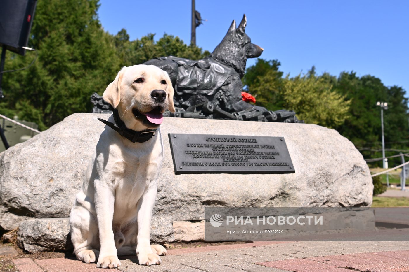 Фестиваль "День фронтовой собаки" в Москве