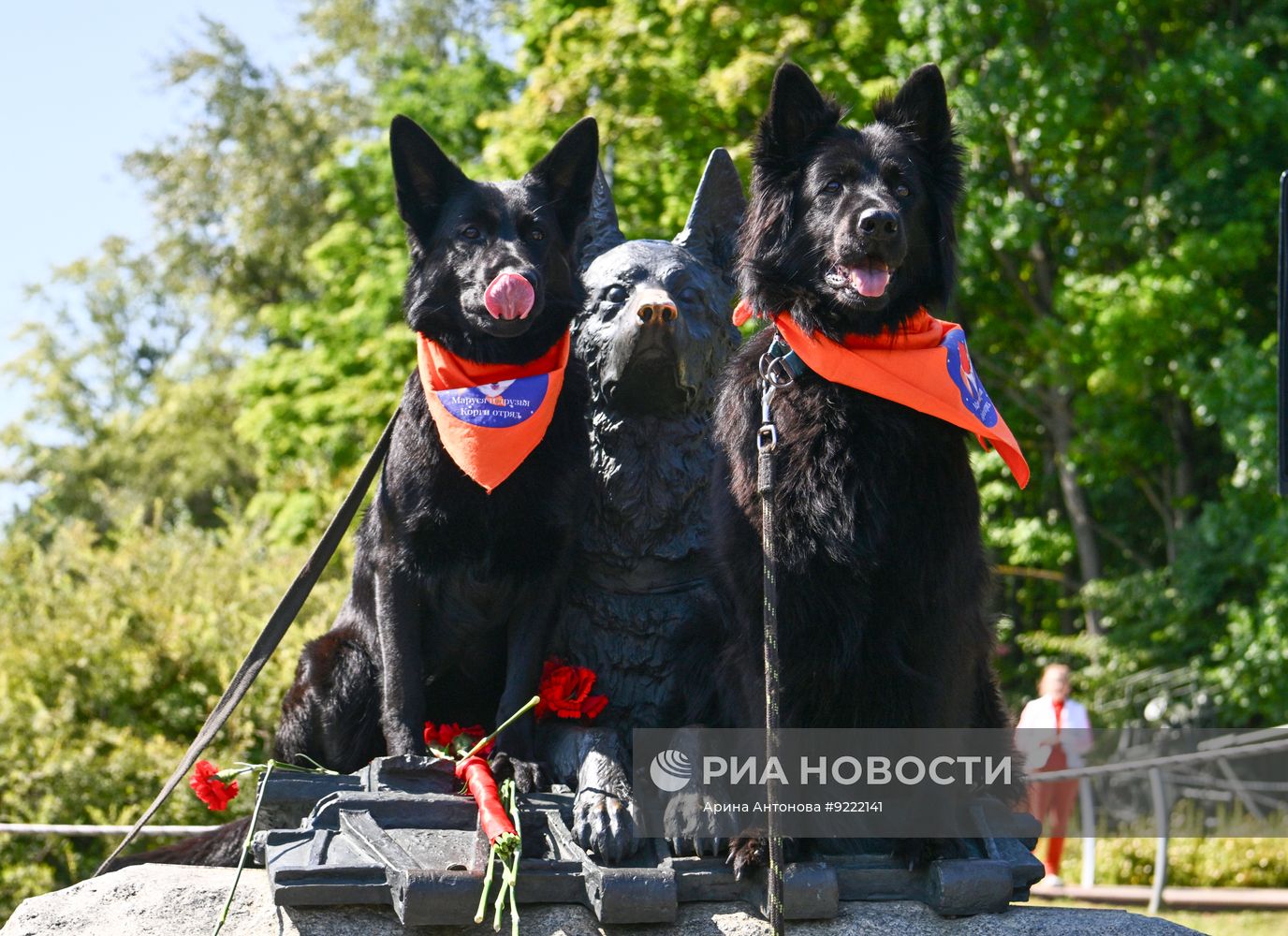 Фестиваль "День фронтовой собаки" в Москве