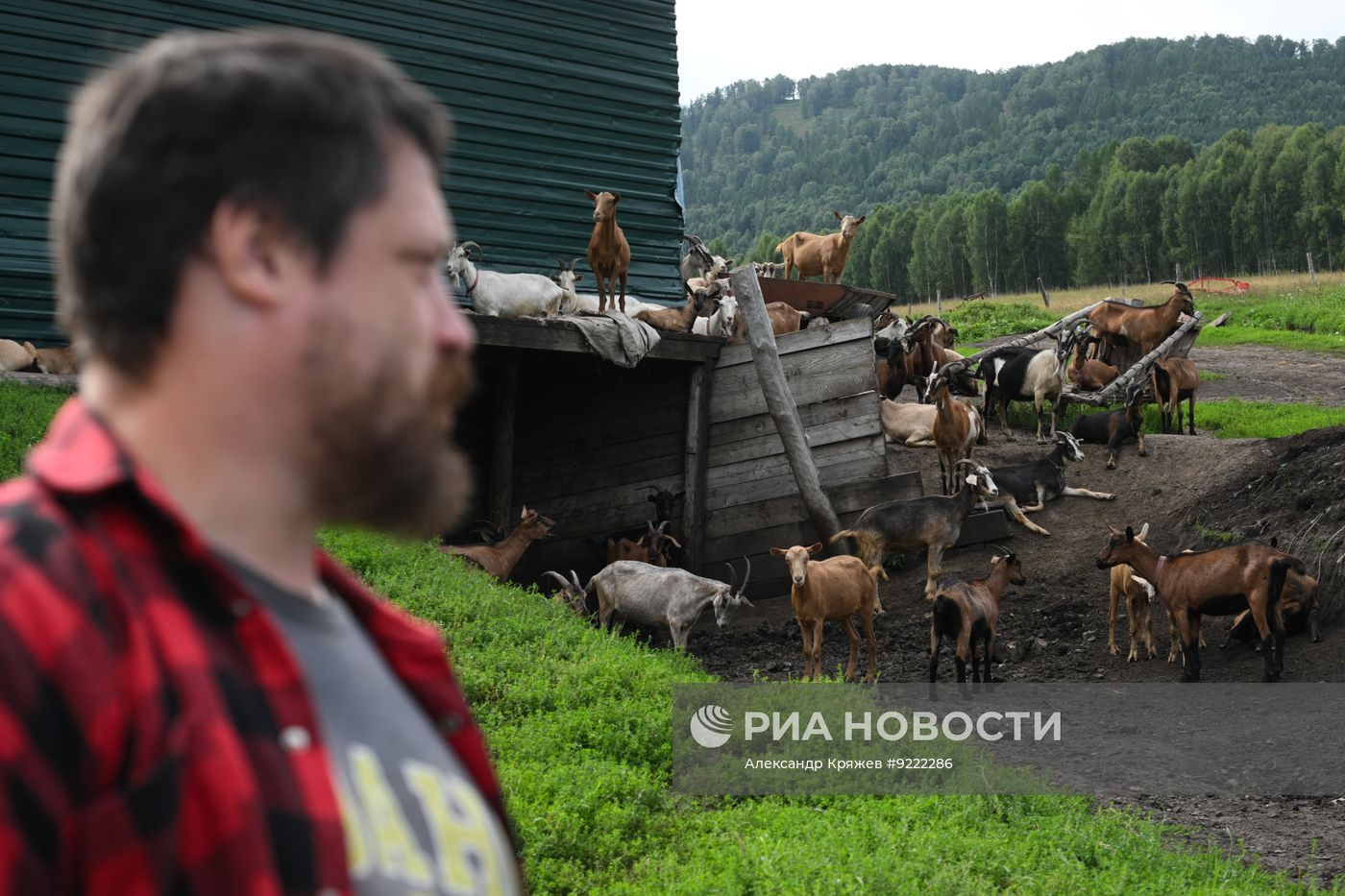 Фермер Джастас Уолкер из Алтайского края