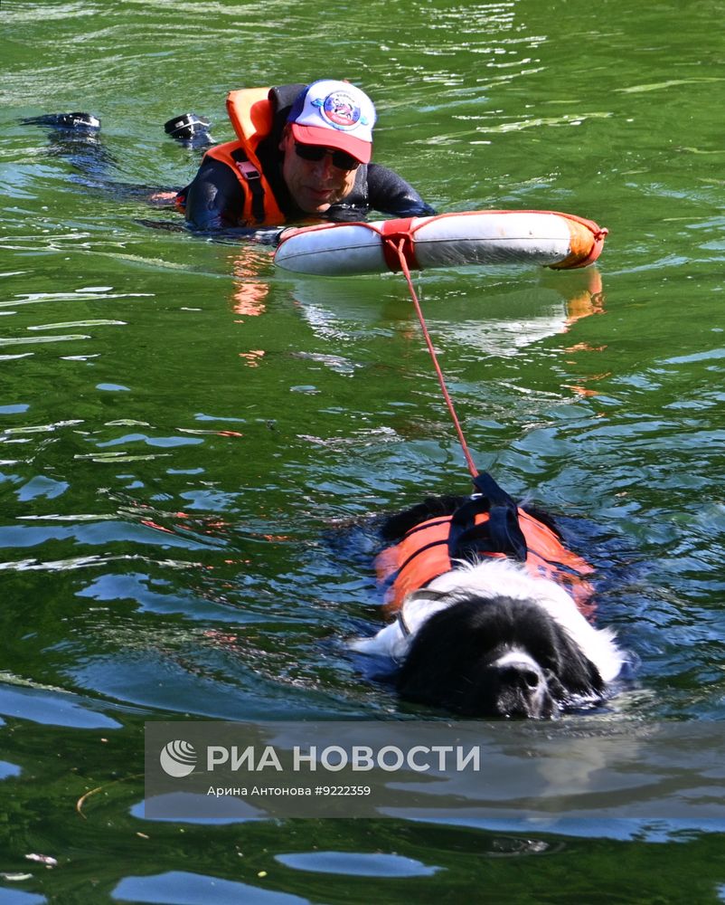 Фестиваль "День фронтовой собаки" в Москве