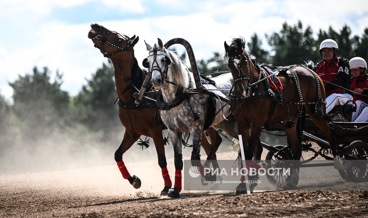 Фестиваль орловского рысака #orlovfest в Калужской области