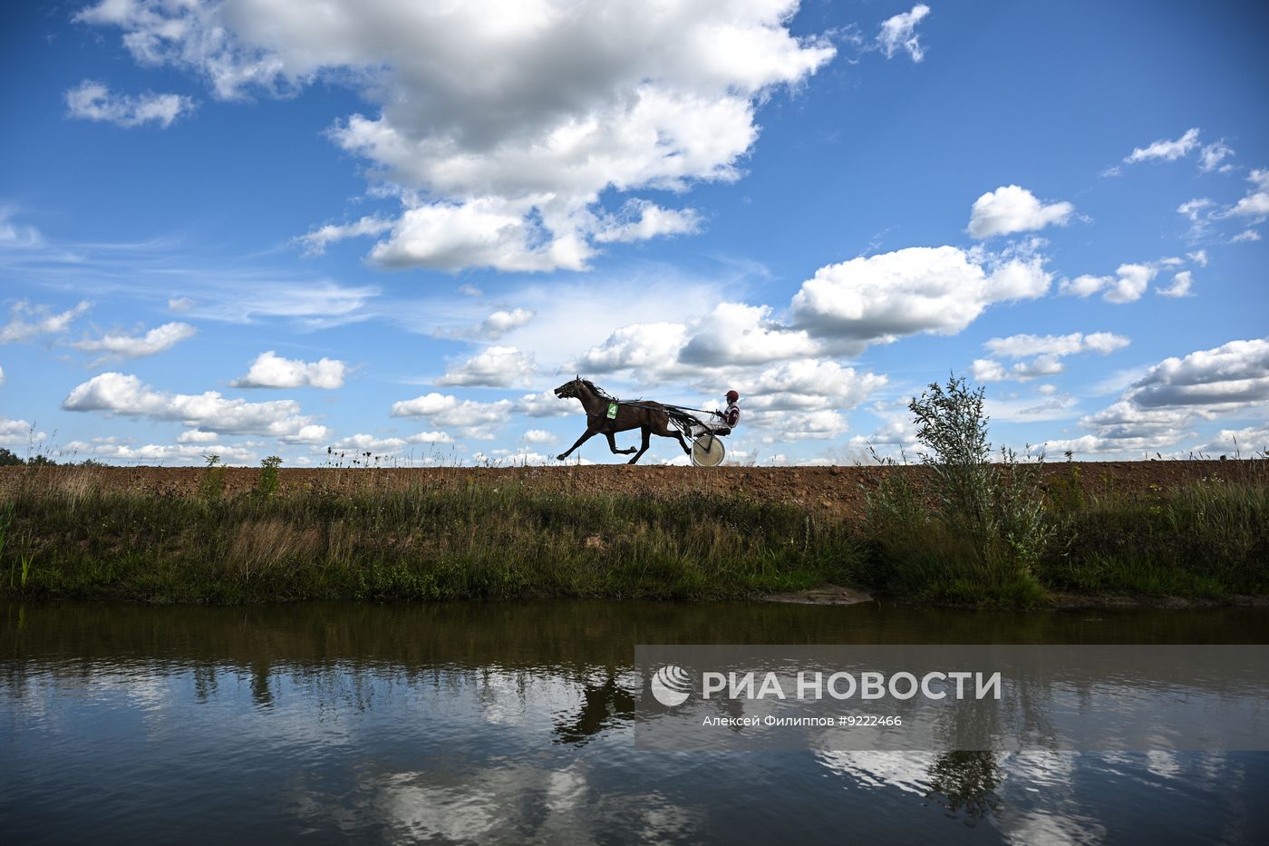 Фестиваль орловского рысака #orlovfest в Калужской области