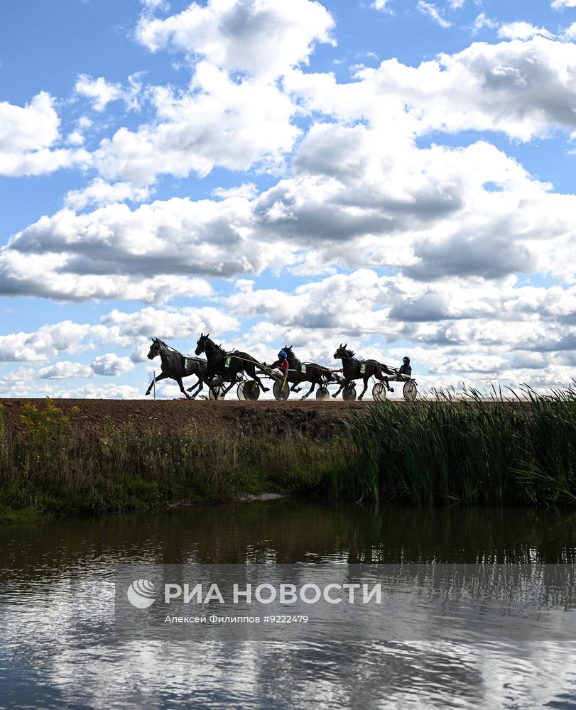 Фестиваль орловского рысака #orlovfest в Калужской области
