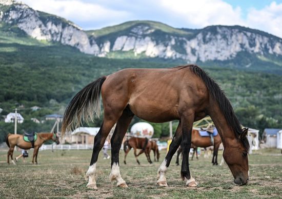 Виды Крыма
