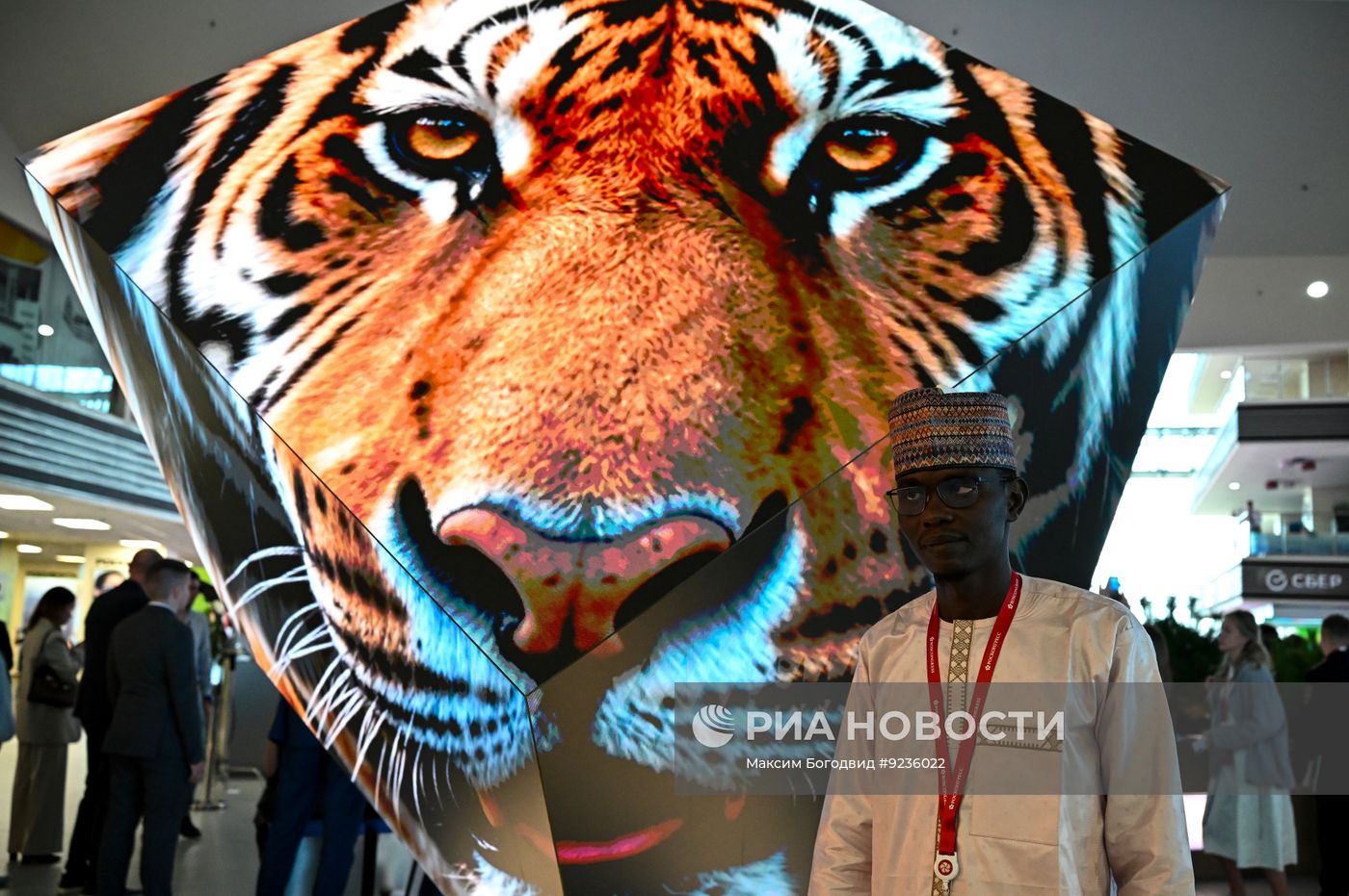 ВЭФ-2026. Работа форума