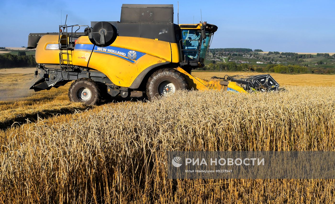 Уборка урожая зерновых в Красноярском крае