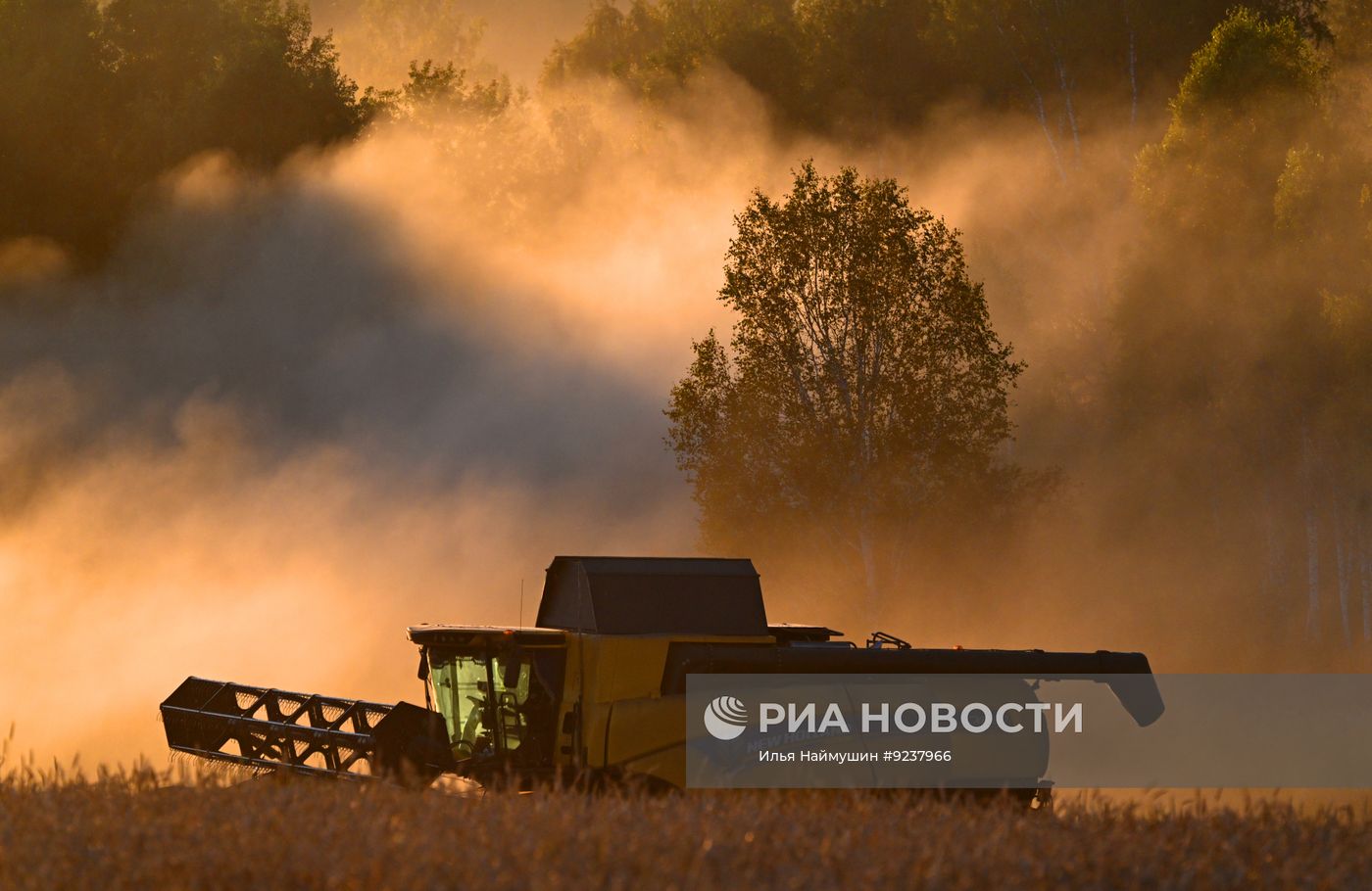 Уборка урожая зерновых в Красноярском крае