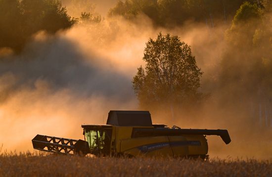 Уборка урожая зерновых в Красноярском крае