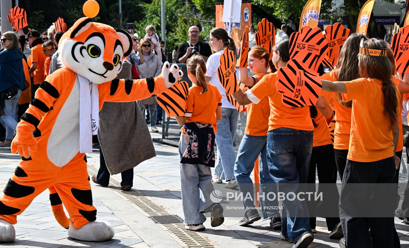 День тигра во Владивостоке