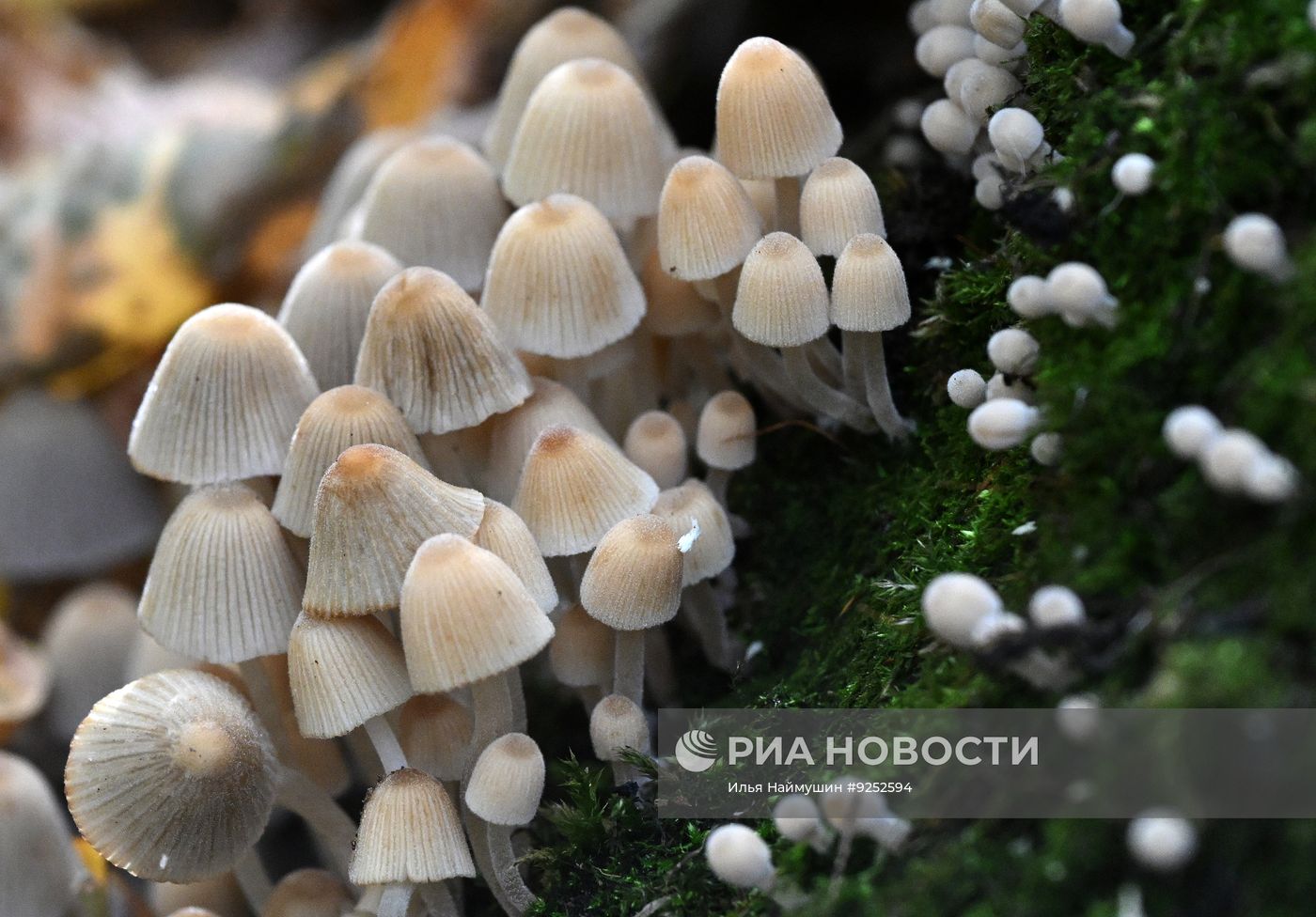 Осень в Красноярском крае