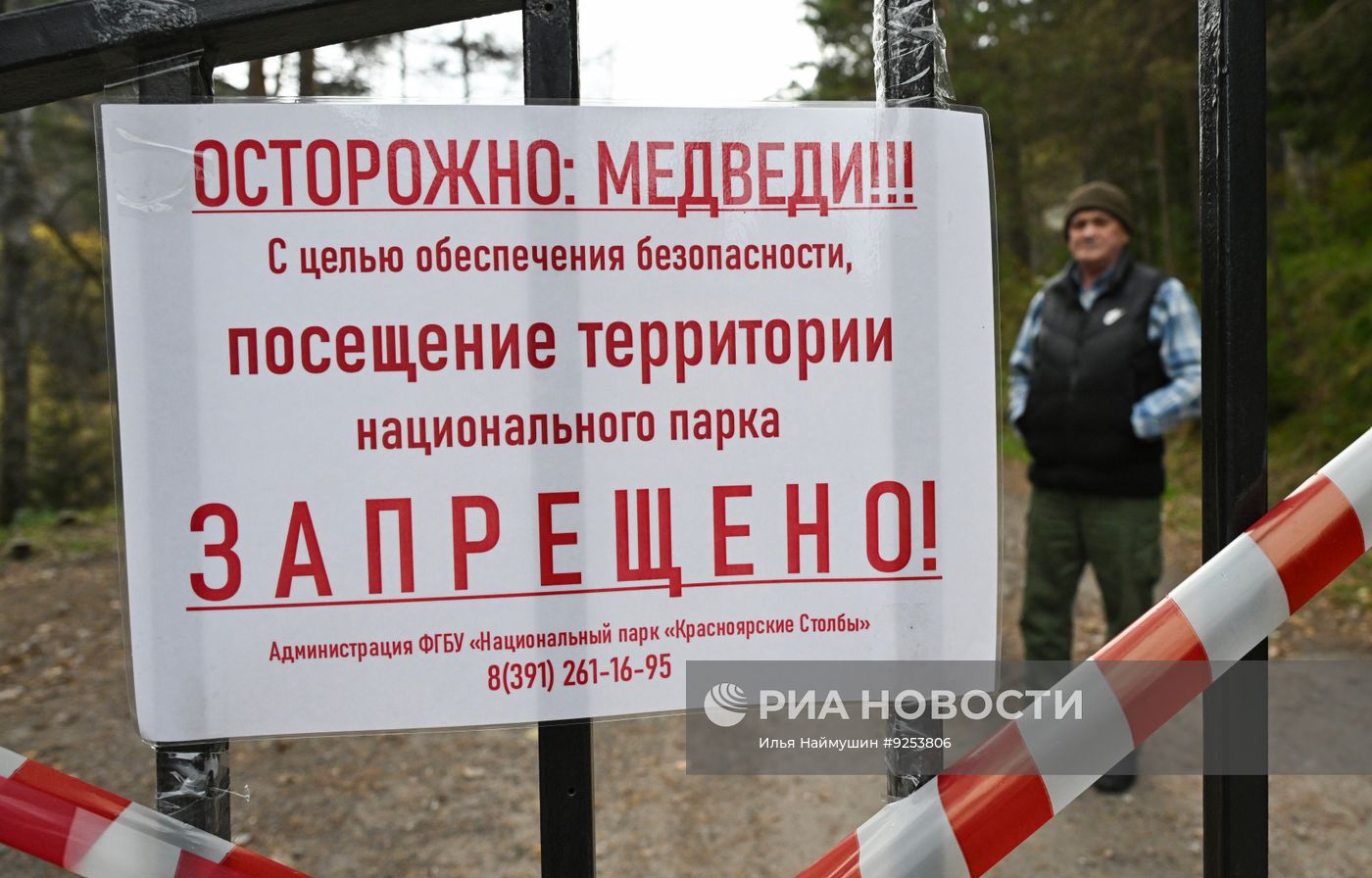 Меры безопасности в связи с угрозой нападения медведей в Красноярском крае
