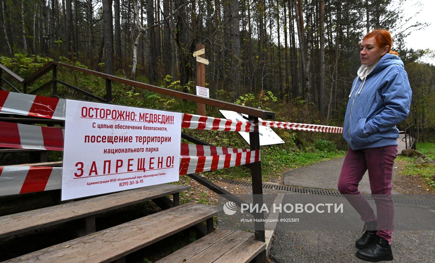 Меры безопасности в связи с угрозой нападения медведей в Красноярском крае