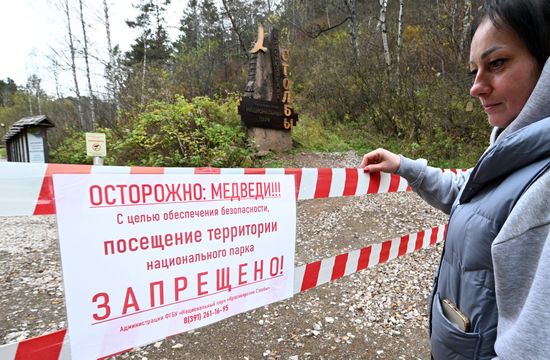 Меры безопасности в связи с угрозой нападения медведей в Красноярском крае