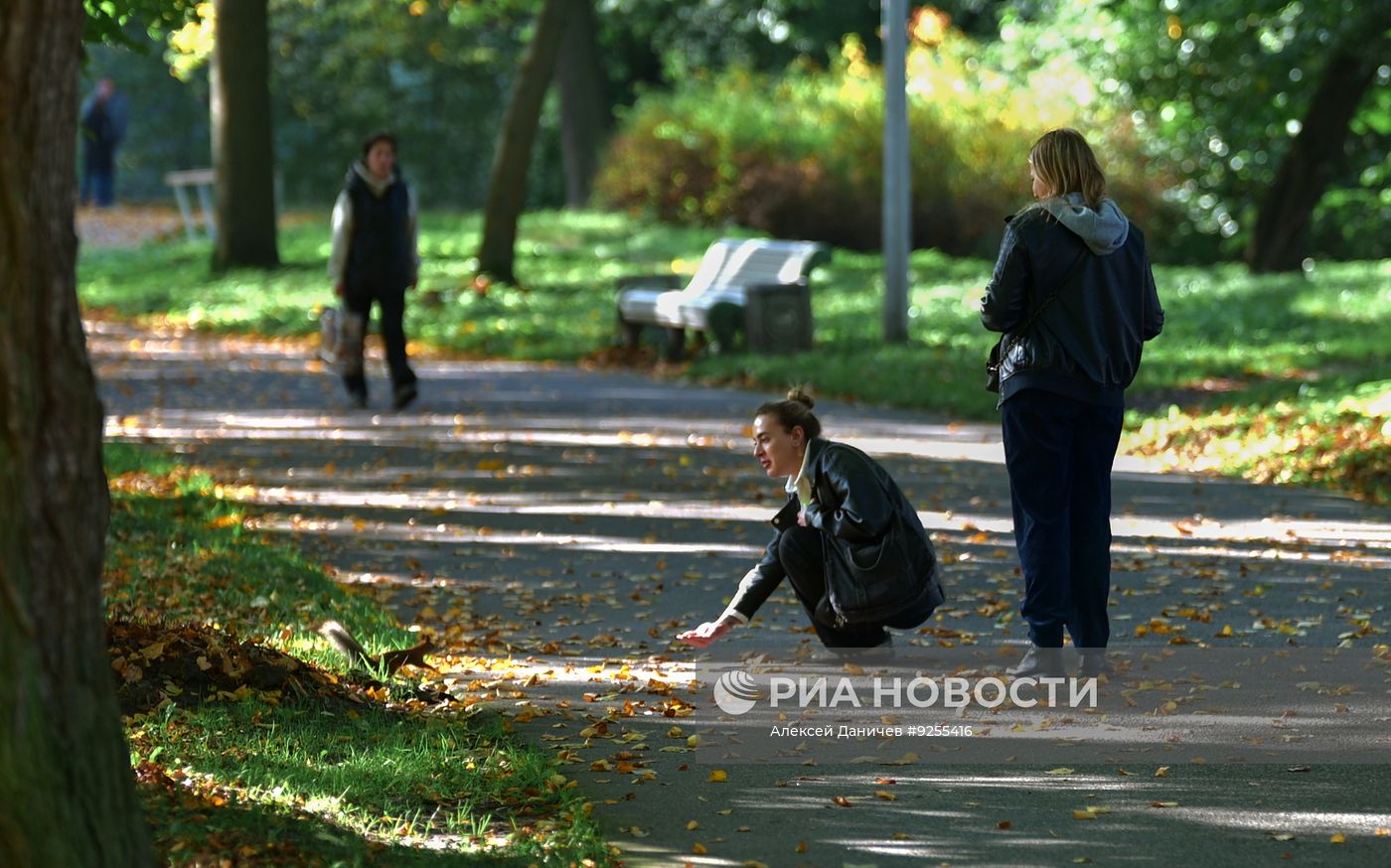 Золотая осень в Санкт-Петербурге
