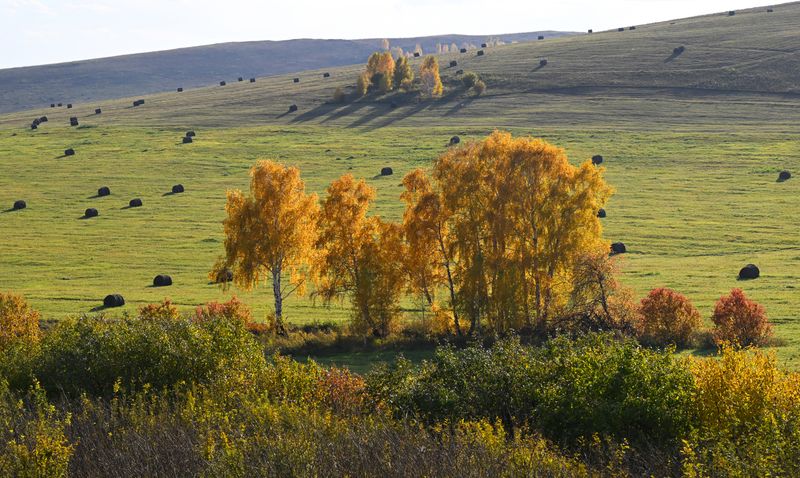 НЕДЕЛЯ В ФОТОГРАФИЯХ