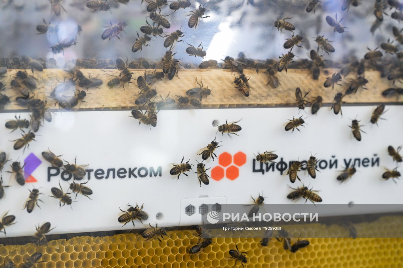 Агропромышленная выставка "Золотая осень - 2026" в Москве