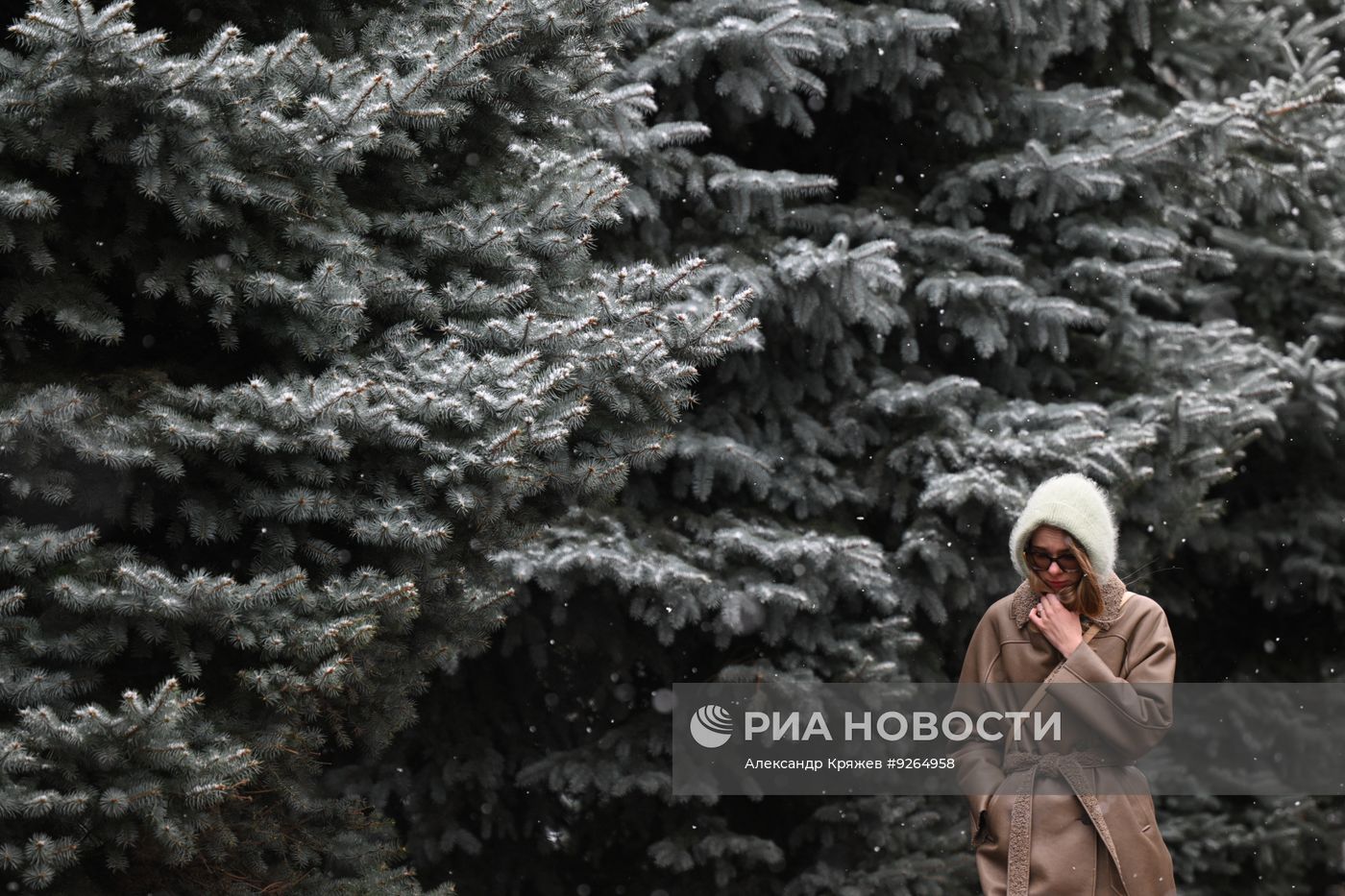 Первый снег в Сибири