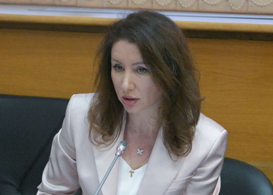 Заседание комитета Госдумы РФ по бюджету и налогам