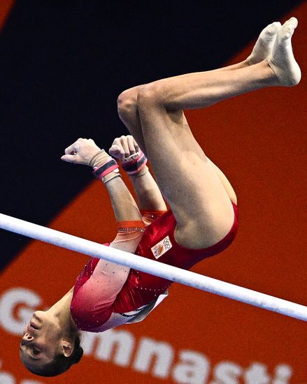 Спортивная гимнастика. Чемпионат мира. Квалификация