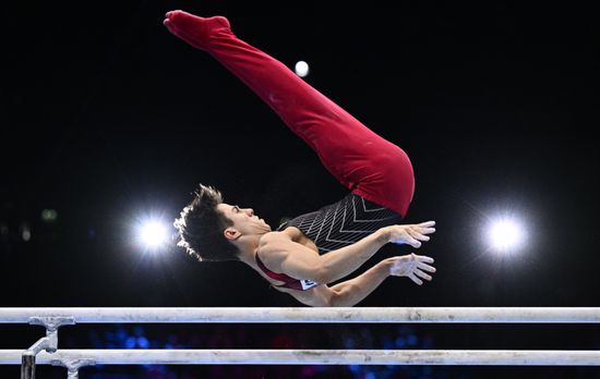 Спортивная гимнастика. Чемпионат мира. Финал. Мужчины
