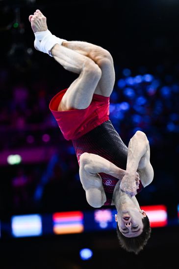 Спортивная гимнастика. Чемпионат мира. Финал. Мужчины