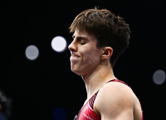 Спортивная гимнастика. Чемпионат мира. Финал. Мужчины
