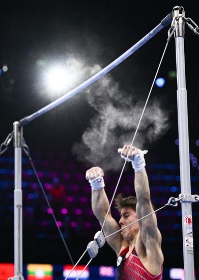 Спортивная гимнастика. Чемпионат мира. Финал. Мужчины