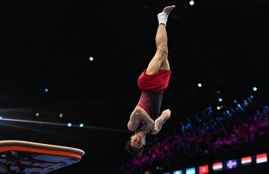 Спортивная гимнастика. Чемпионат мира. Финал