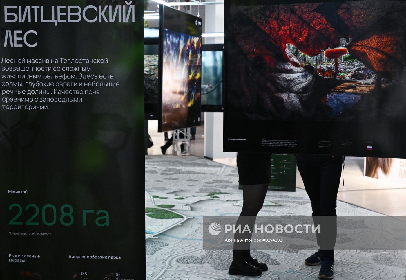 Фестиваль дикой природы "Золотая Черепаха" в Москве