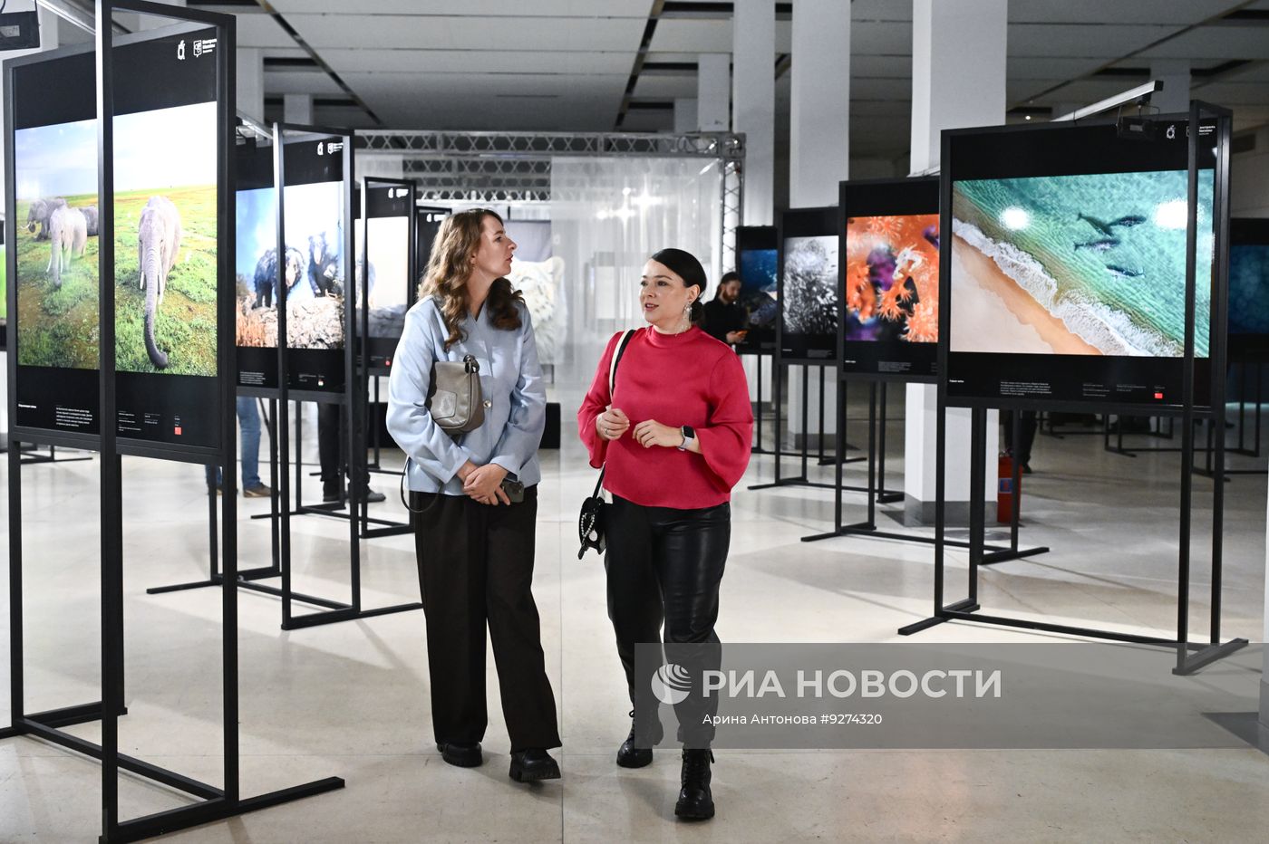 Фестиваль дикой природы "Золотая Черепаха" в Москве